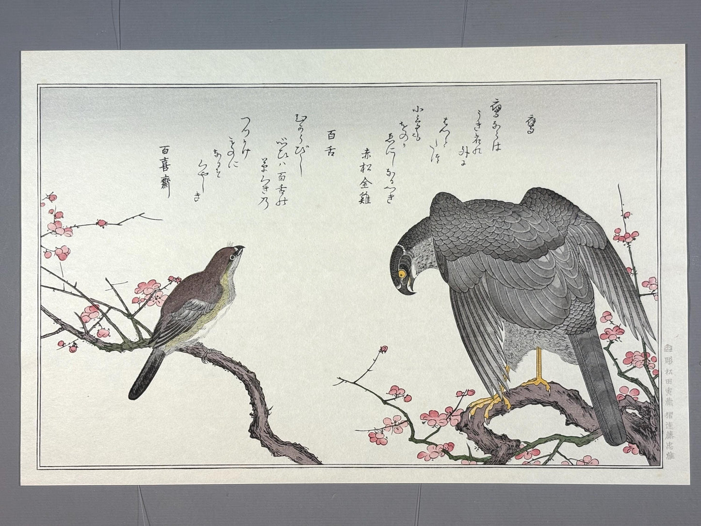 Japanese Ukiyo-e, woodblock print, Utamaro , "Hawk and Shrike"