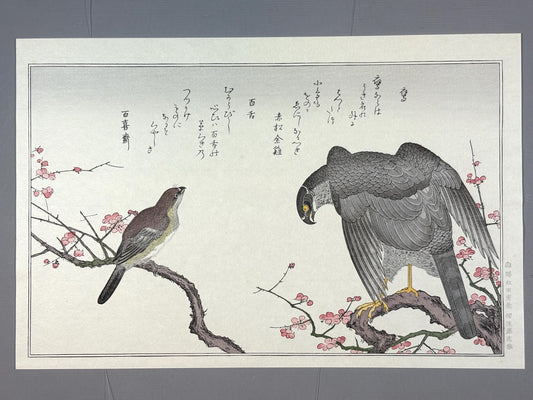 Japanese Ukiyo-e, woodblock print, Utamaro , "Hawk and Shrike"