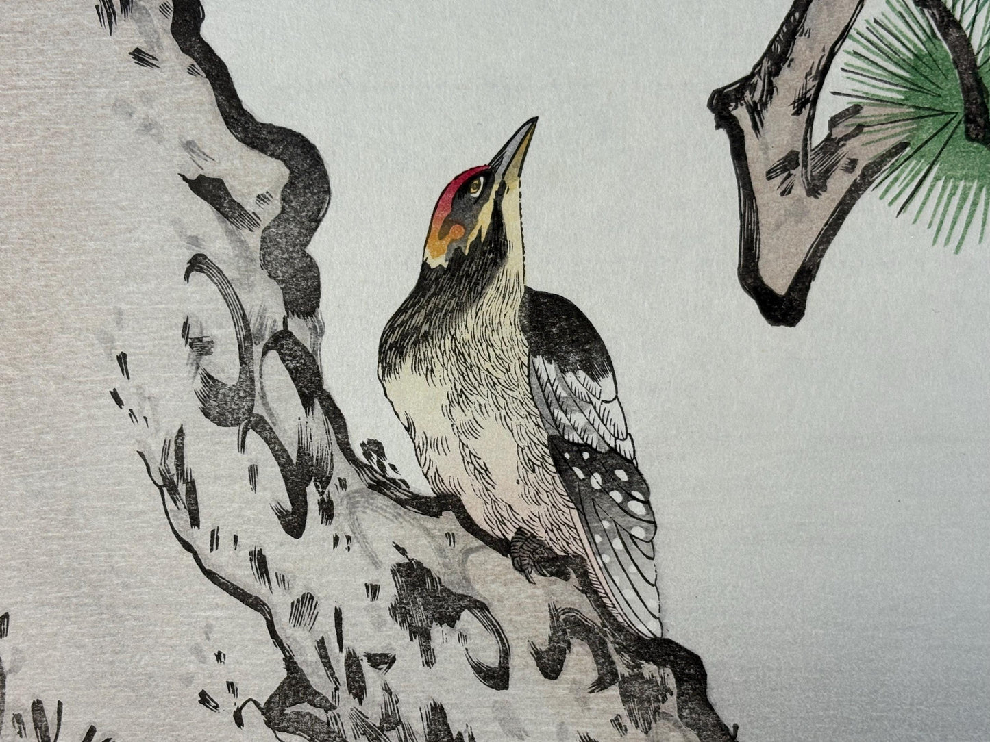 Japanese Ukiyo-e, woodblock print, Utamaro , "Long-tailed Tit and Woodpecker"