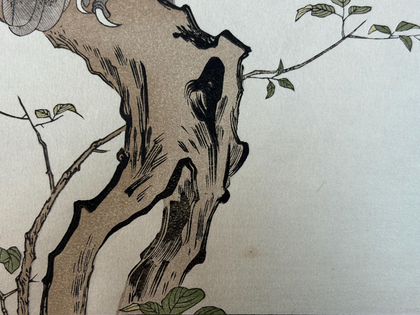 Japanese Ukiyo-e, woodblock print, Utamaro , "Horned Owl and Bullfinch"