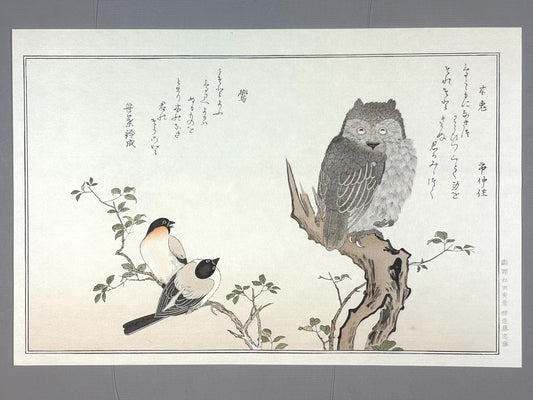 Japanese Ukiyo-e, woodblock print, Utamaro , "Horned Owl and Bullfinch"