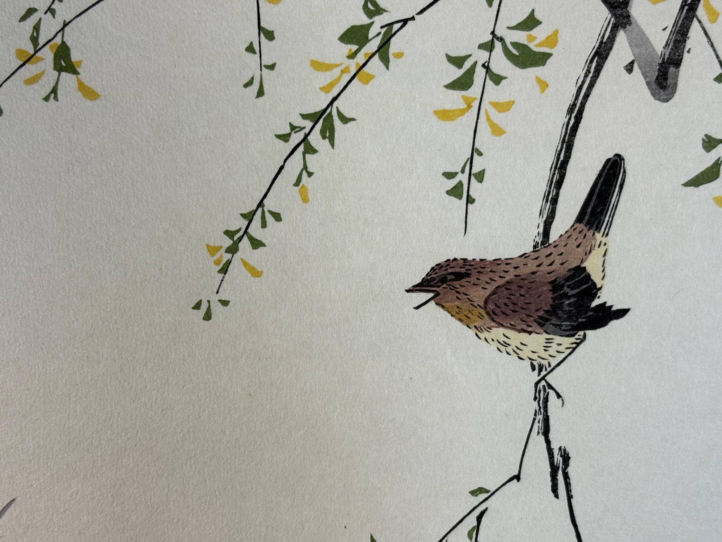 Japanese Ukiyo-e, woodblock print, Utamaro , "Wren and Snipe"