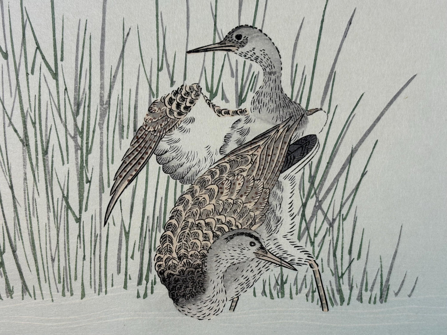Japanese Ukiyo-e, woodblock print, Utamaro , "Wren and Snipe"