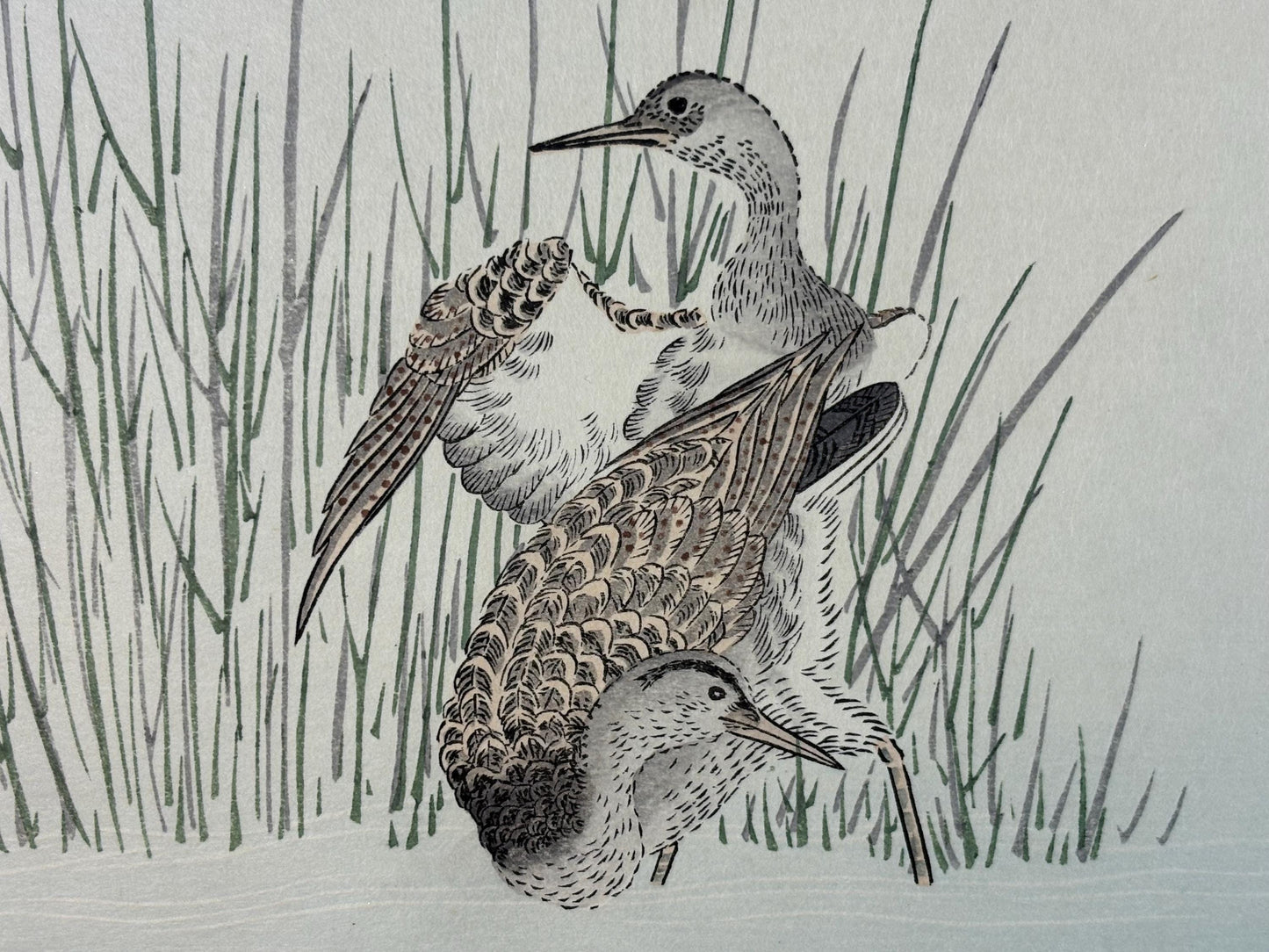 Japanese Ukiyo-e, woodblock print, Utamaro , "Wren and Snipe"
