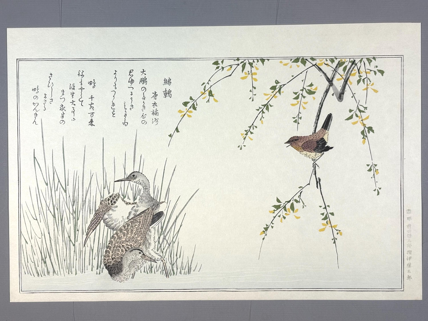 Japanese Ukiyo-e, woodblock print, Utamaro , "Wren and Snipe"