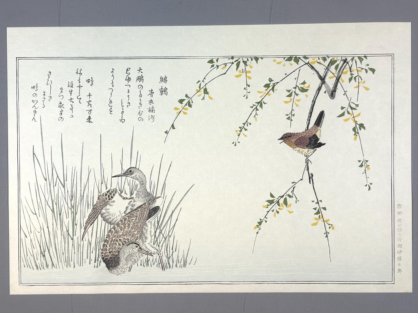 Japanese Ukiyo-e, woodblock print, Utamaro , "Wren and Snipe"
