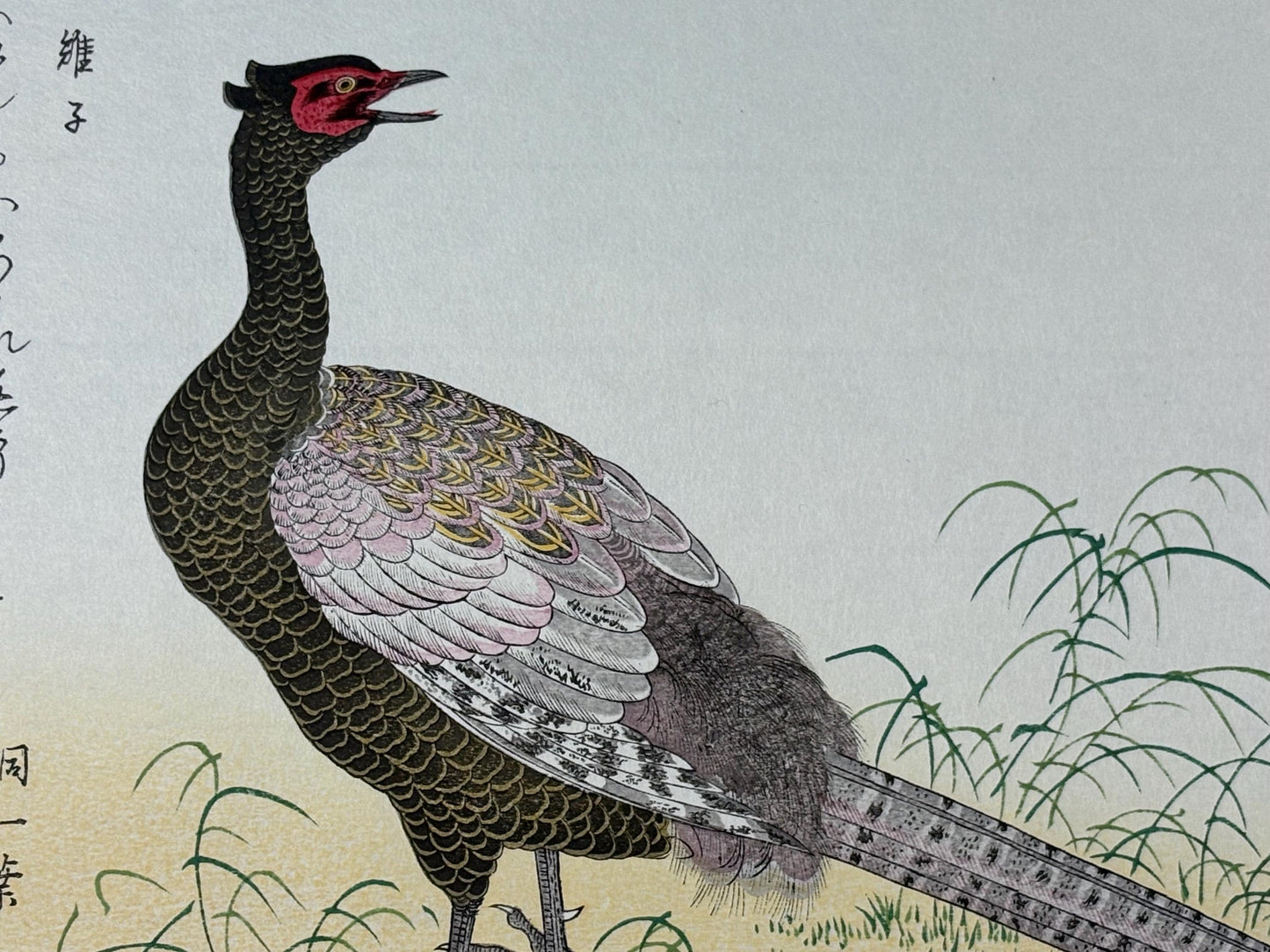 Japanese Ukiyo-e, woodblock print, Utamaro , "Swallow and Pheasant"