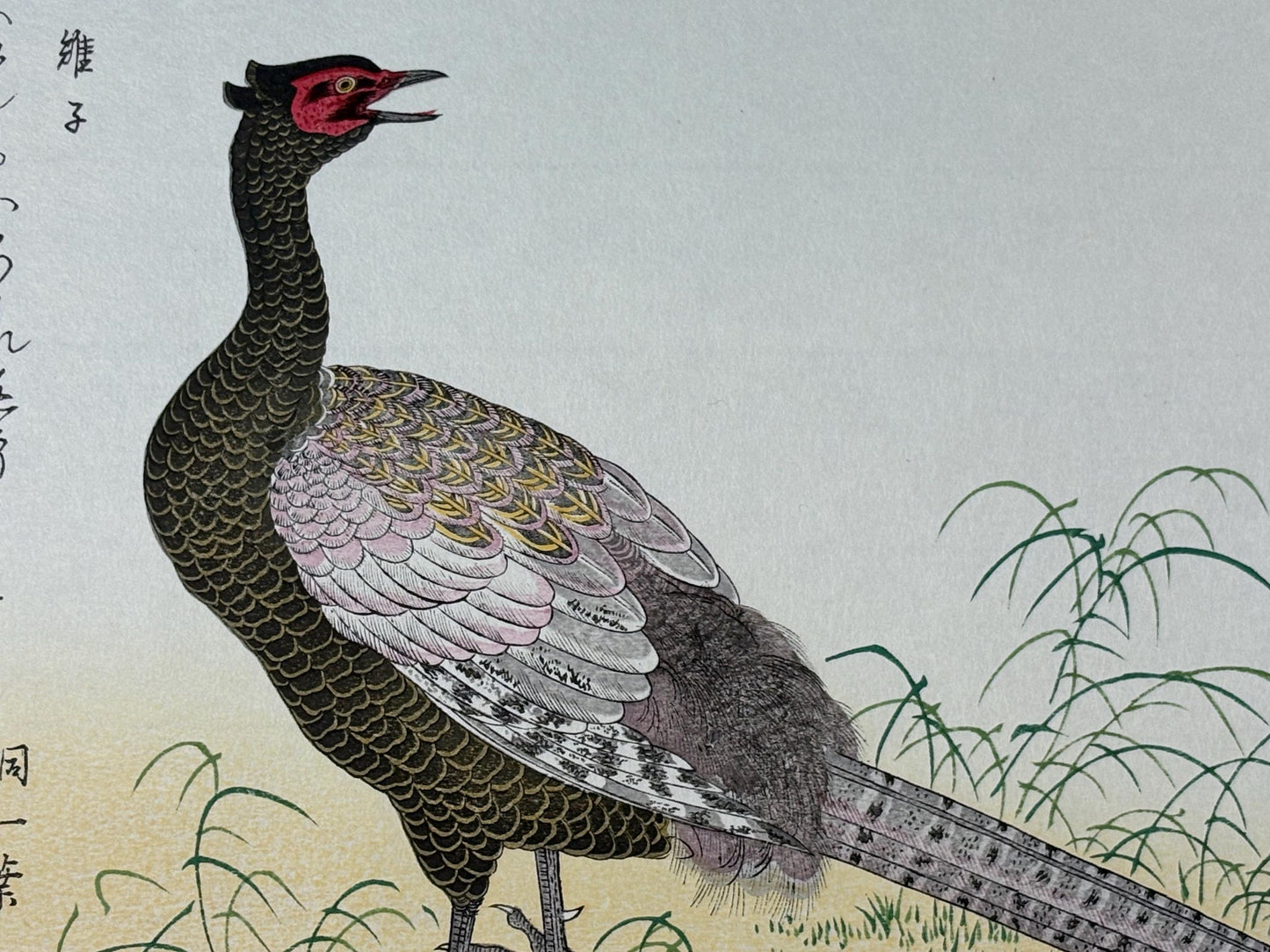 Japanese Ukiyo-e, woodblock print, Utamaro , "Swallow and Pheasant"
