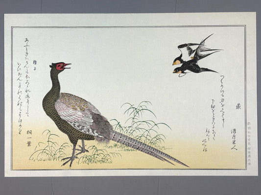 Japanese Ukiyo-e, woodblock print, Utamaro , "Swallow and Pheasant"