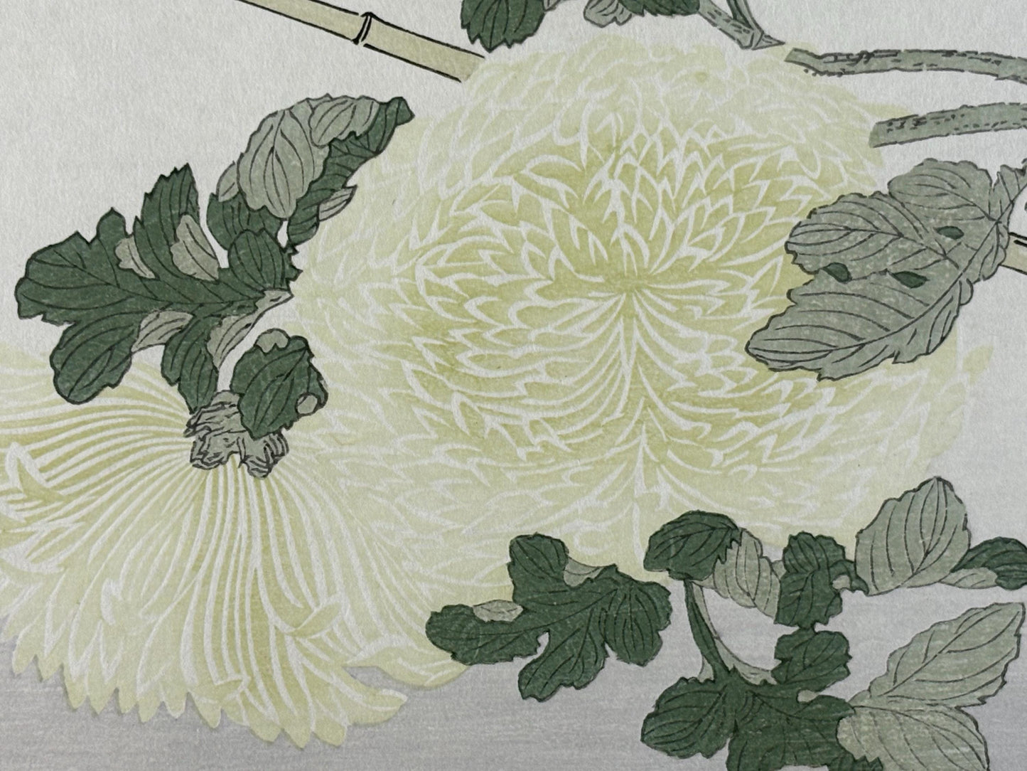 Japanese Ukiyo-e, woodblock print, Utamaro , "Japanese Tit and Japanese Robin"
