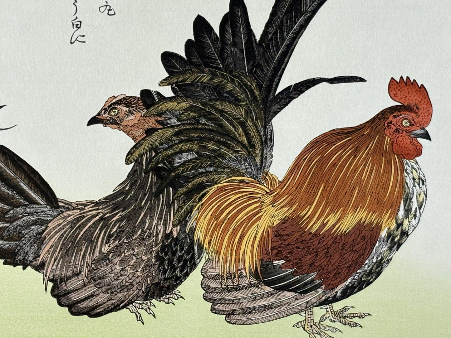 Japanese Ukiyo-e, woodblock print, Utamaro , "Rooster and Meadow Bunting"