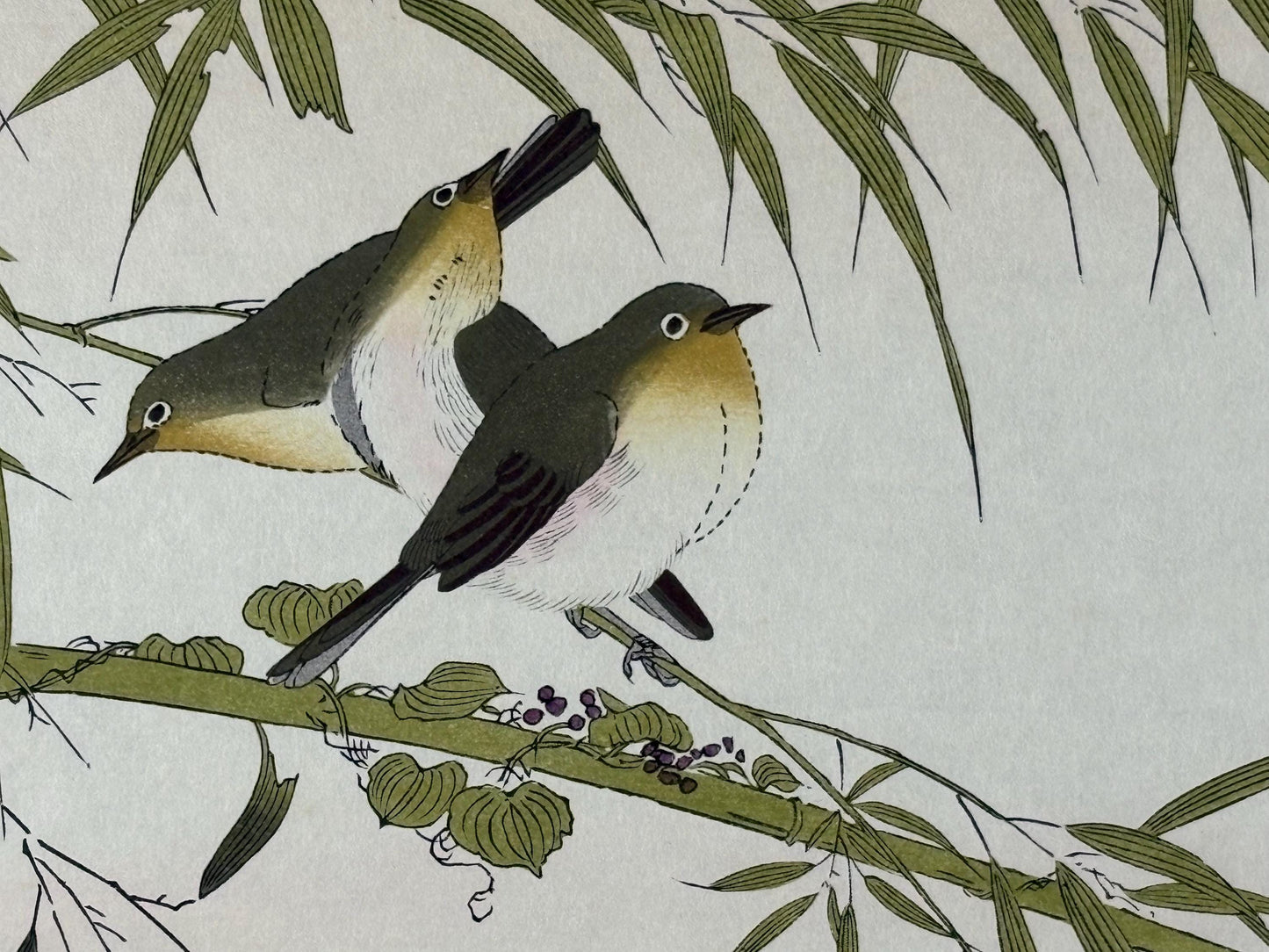 Japanese Ukiyo-e, woodblock print, Utamaro , "Long-tailed Tit and Japanese White-eye"