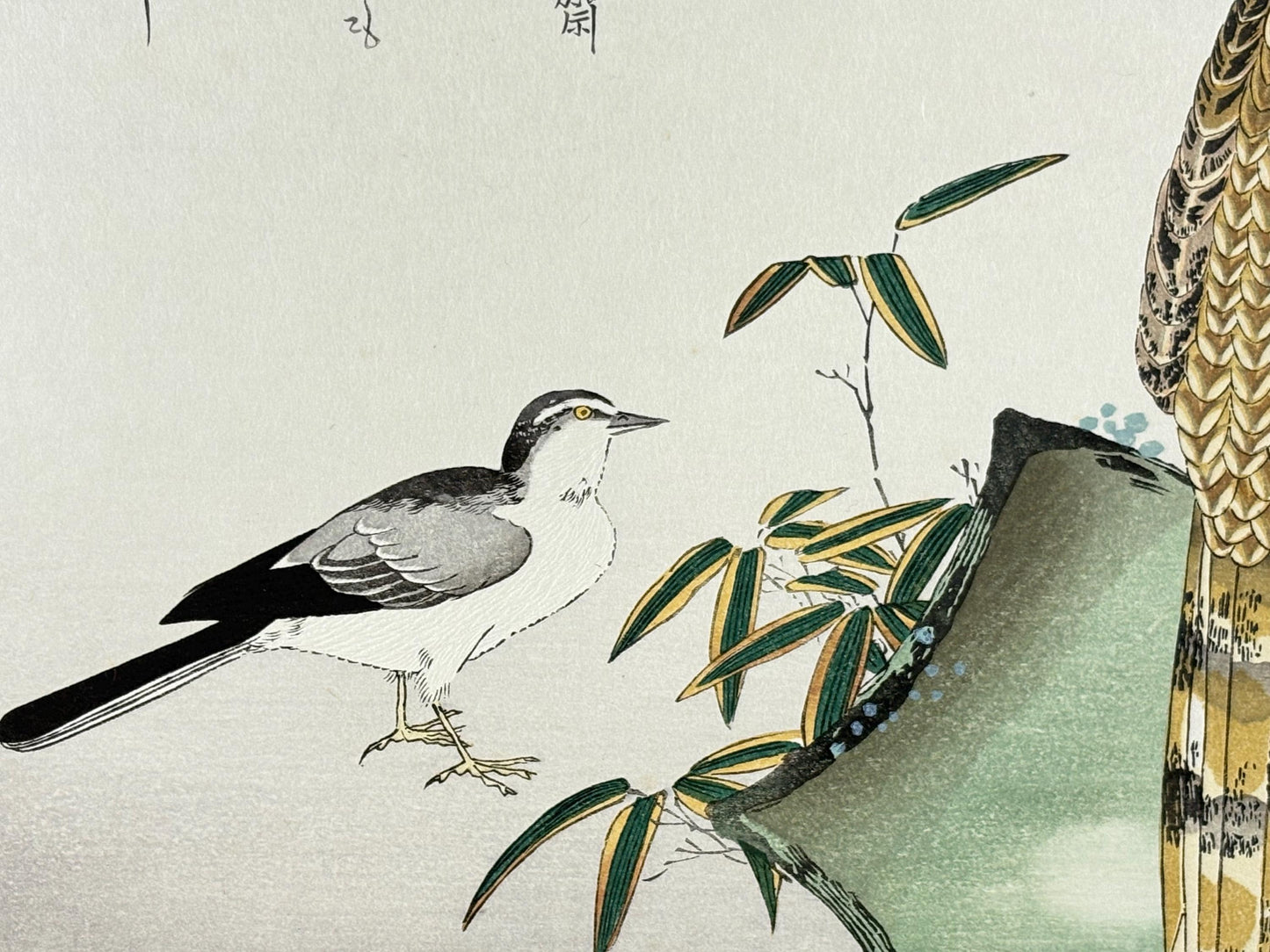 Japanese Ukiyo-e, woodblock print, Utamaro , "Copper Pheasant and Wagtail"