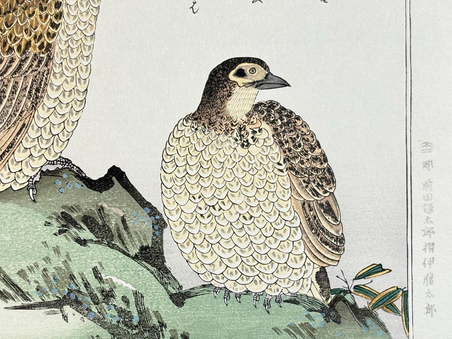 Japanese Ukiyo-e, woodblock print, Utamaro , "Copper Pheasant and Wagtail"