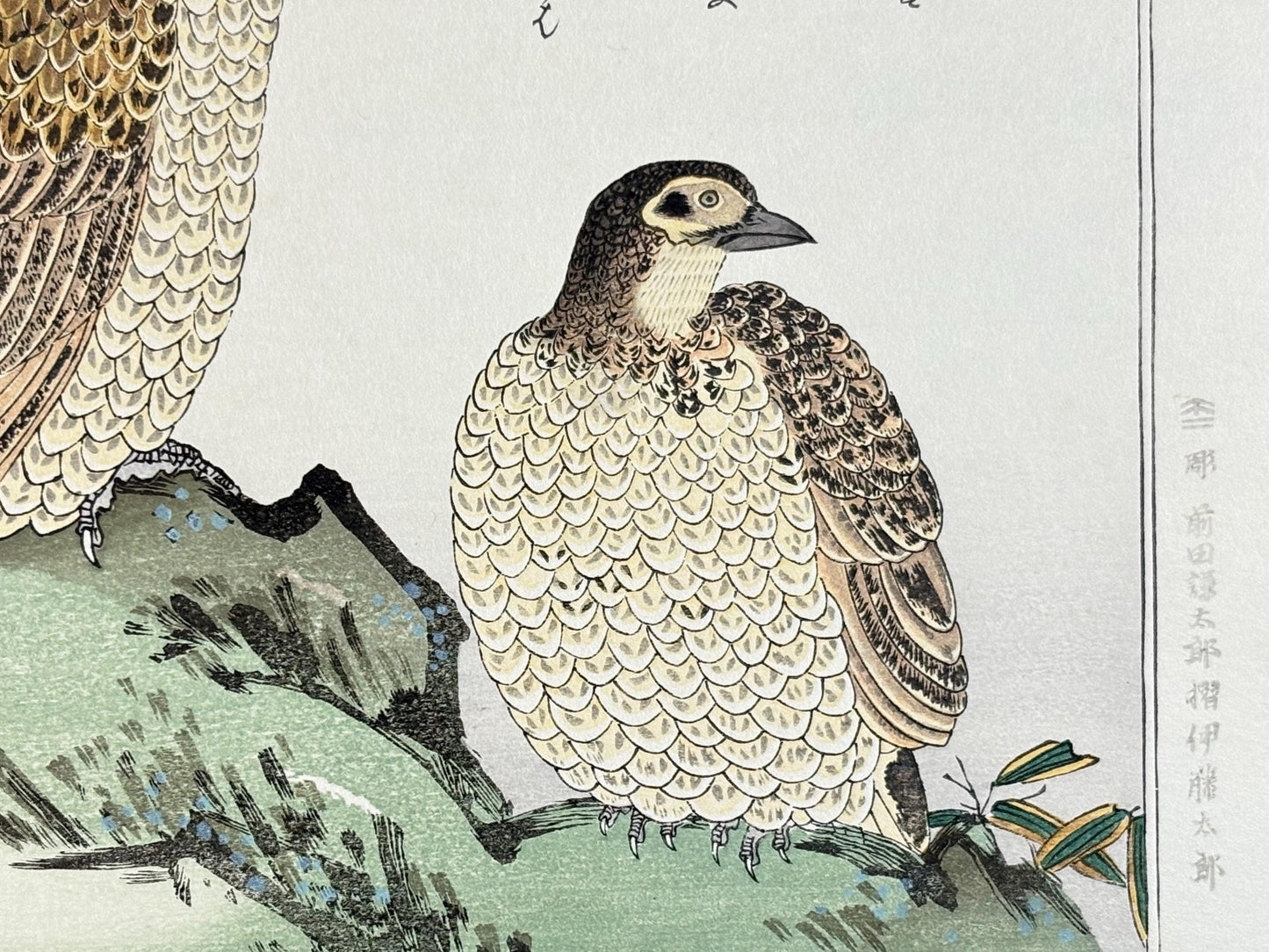 Japanese Ukiyo-e, woodblock print, Utamaro , "Copper Pheasant and Wagtail"
