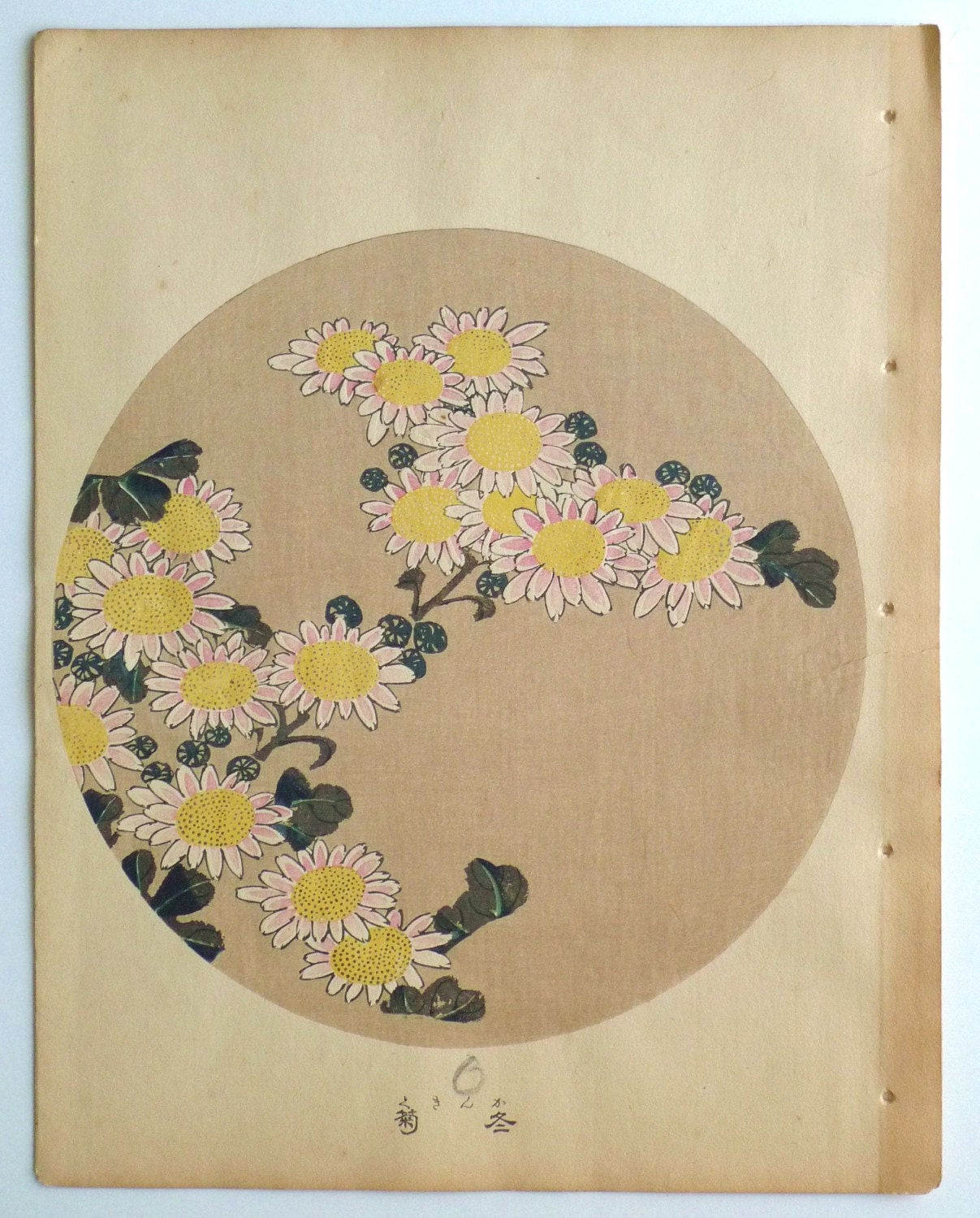 1908, Japanese antique woodblock print, Ito Jakuchu, "Winter chrysanthemum, from Jakuchu gafu", woodcut print.