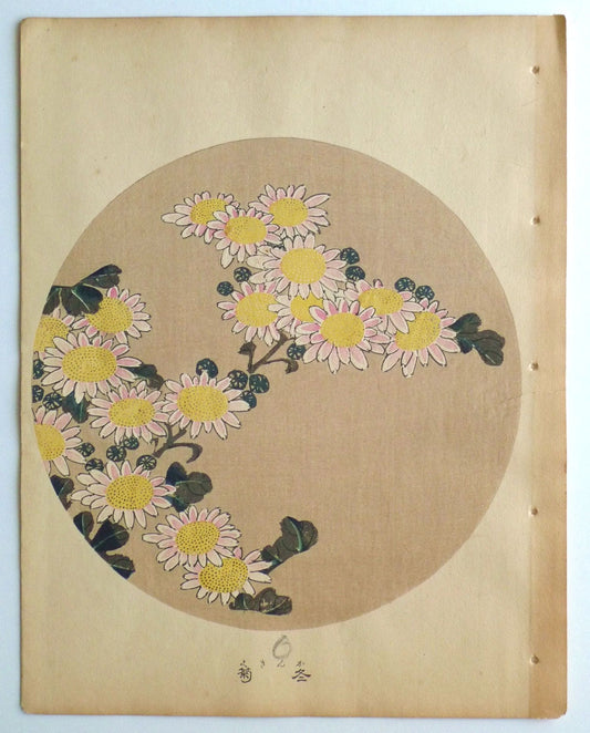 1908, Japanese antique woodblock print, Ito Jakuchu, "Winter chrysanthemum, from Jakuchu gafu", woodcut print.