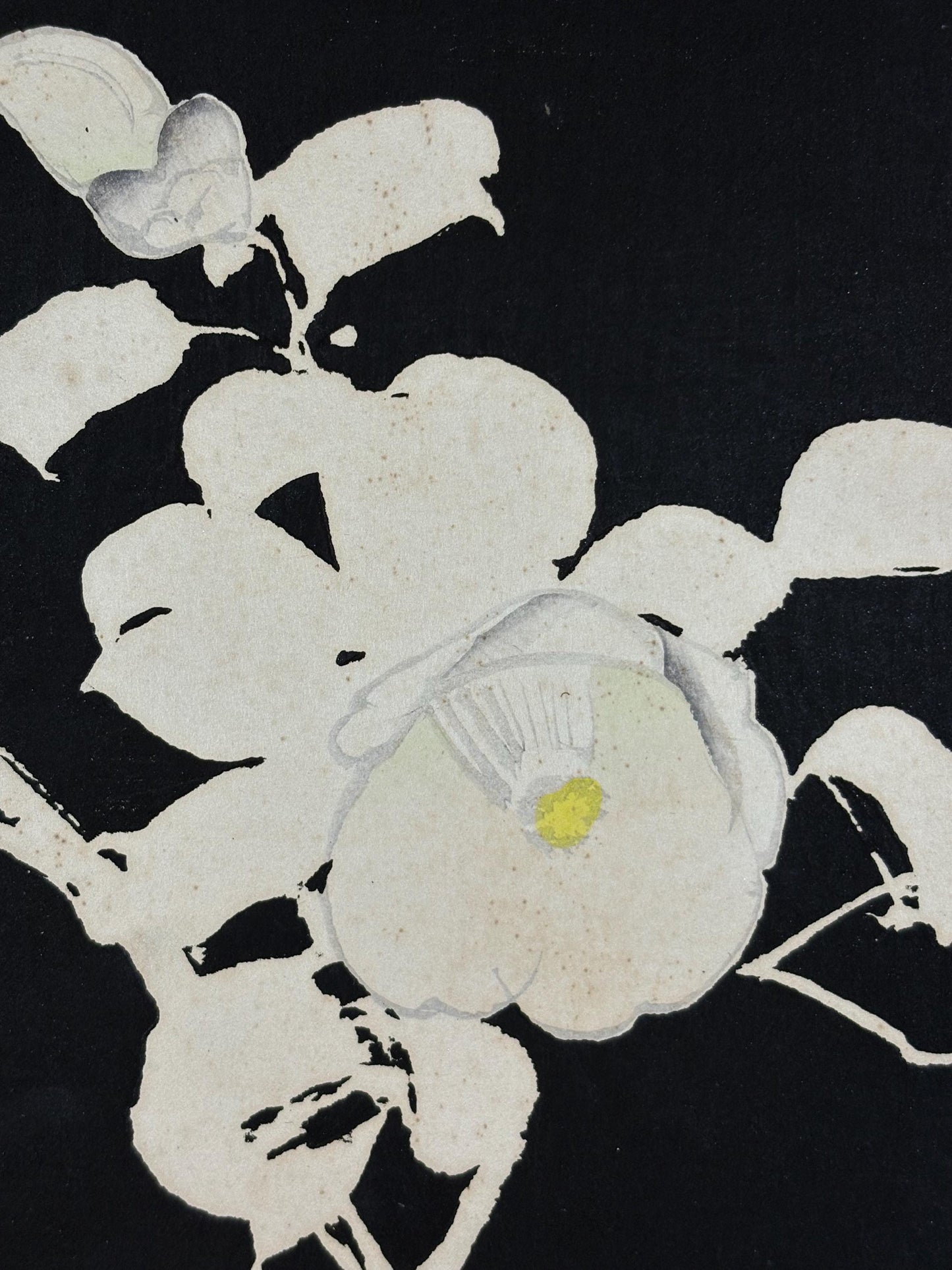 Japanese original woodblock print, 1934, Kyobashi Masuichi, "Tansai-Gafu".
