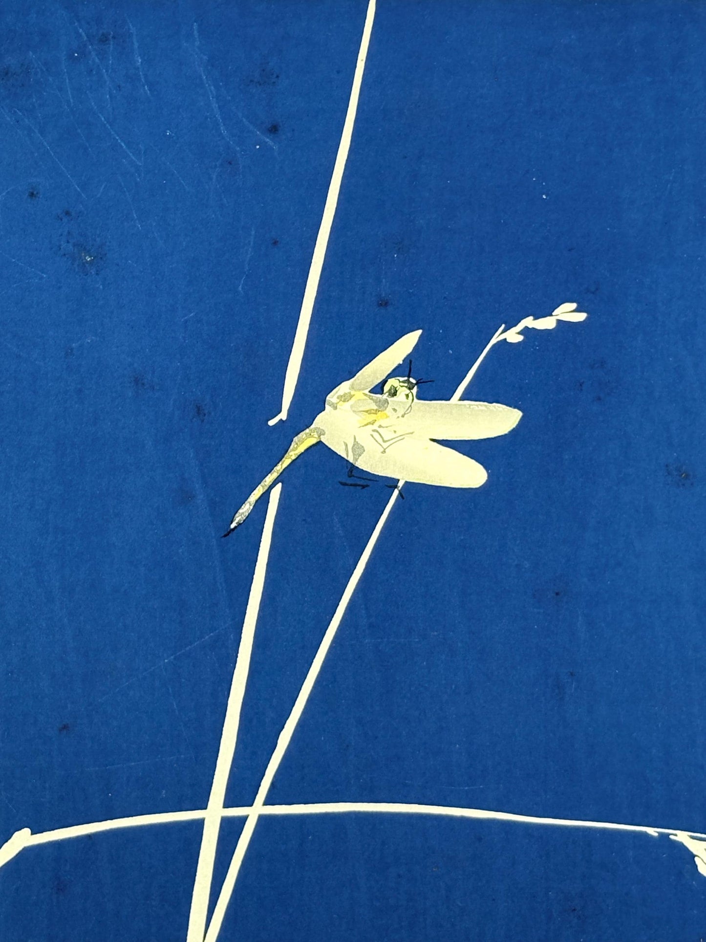 Japanese original woodblock print, 1934, Kyobashi Masuichi, "Tansai-Gafu".