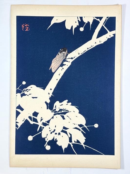 Japanese original woodblock print, 1934, Kyobashi Masuichi, "Tansai-Gafu".