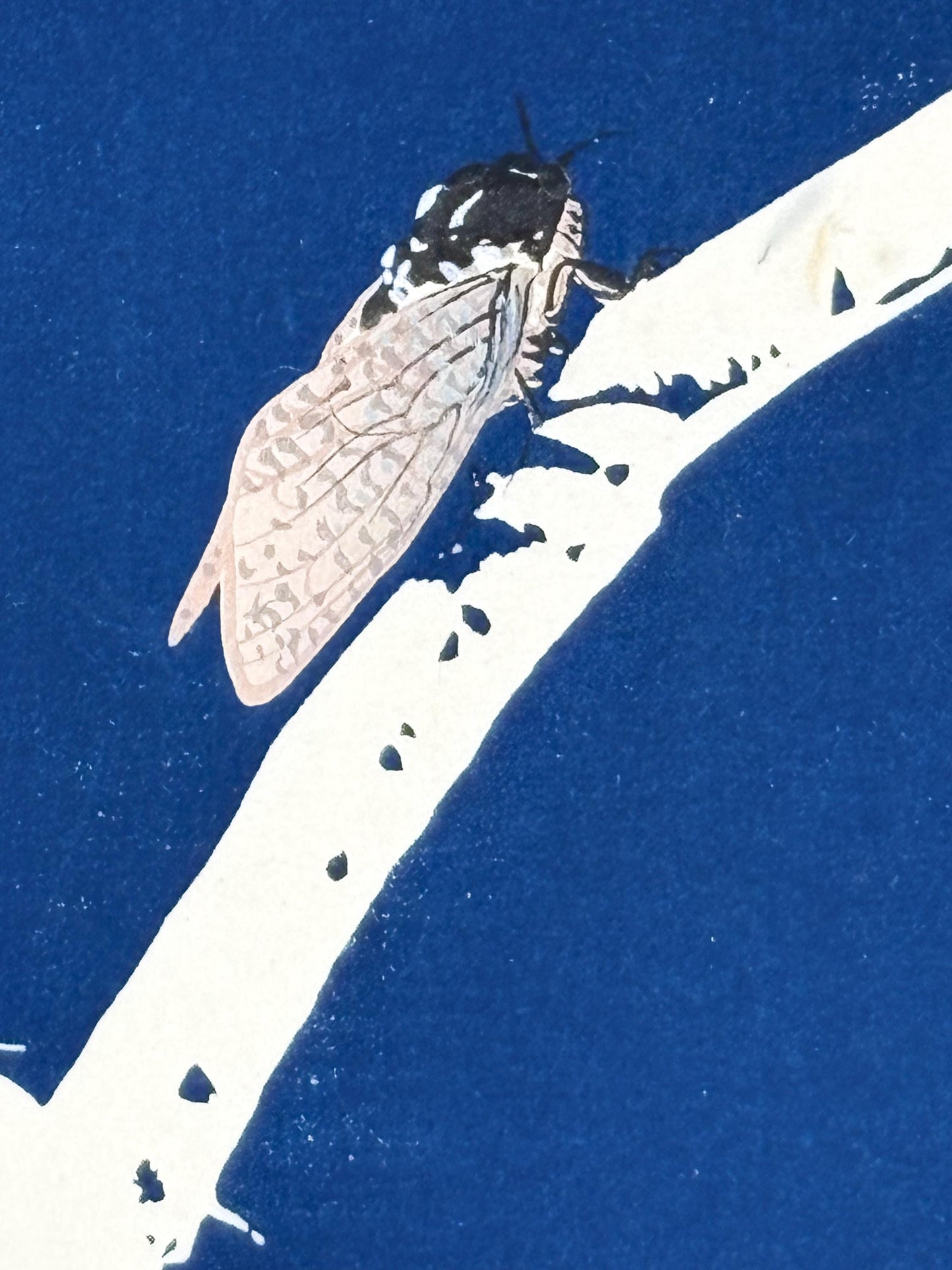 Japanese original woodblock print, 1934, Kyobashi Masuichi, "Tansai-Gafu".