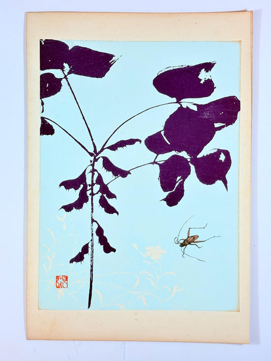 Japanese original woodblock print, 1934, Kyobashi Masuichi, "Tansai-Gafu".