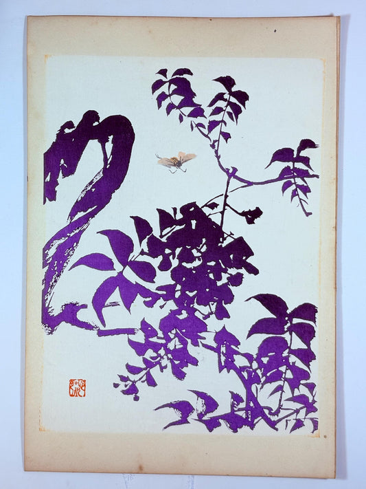 Japanese original woodblock print, 1934, Kyobashi Masuichi, "Tansai-Gafu".
