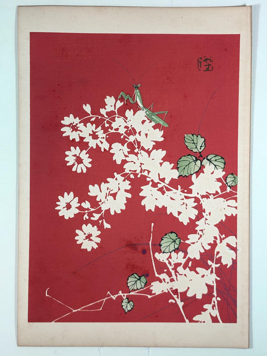 Japanese original woodblock print, 1934, Kyobashi Masuichi, "Tansai-Gafu".