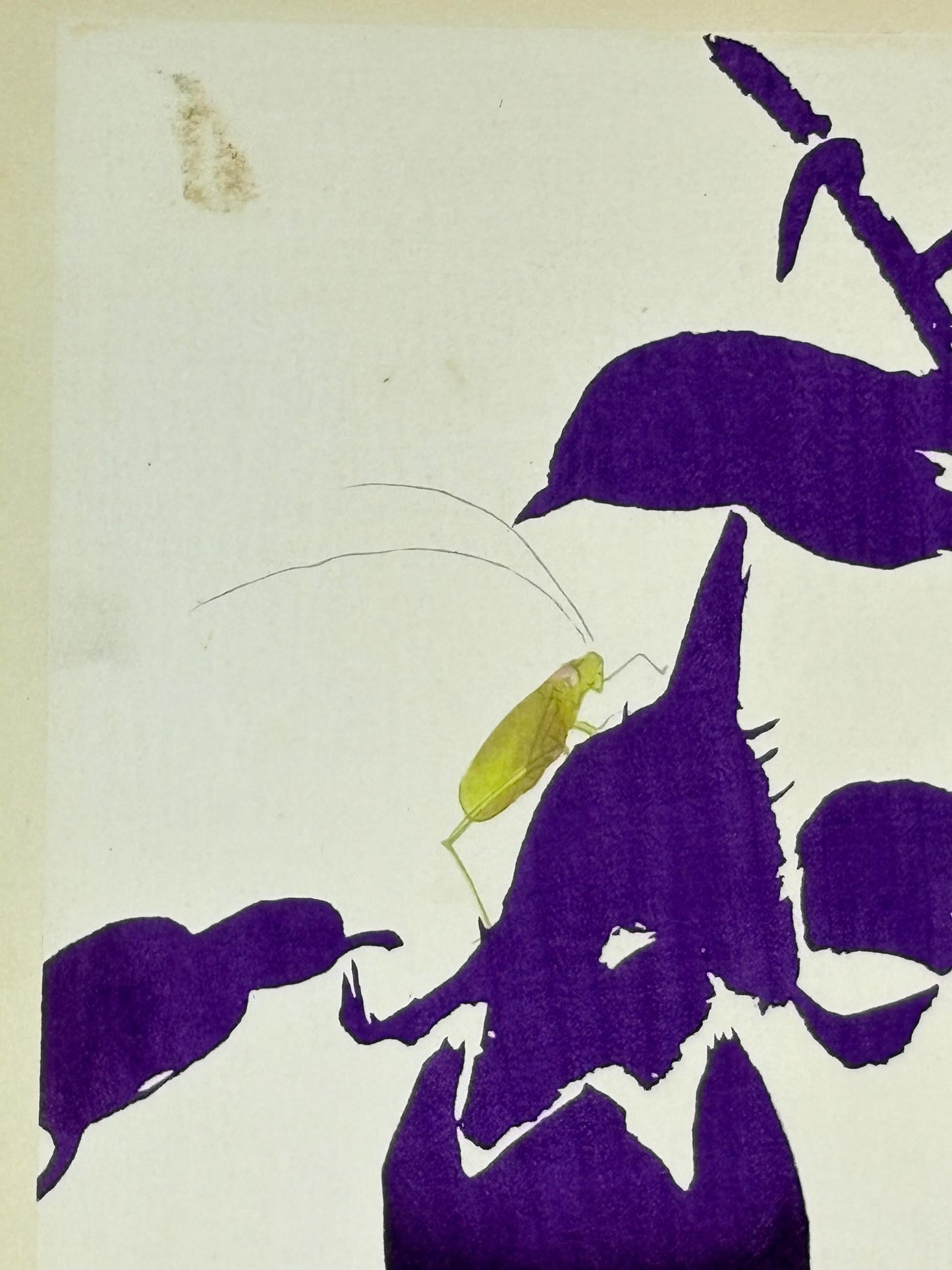 Japanese original woodblock print, 1934, Kyobashi Masuichi, "Tansai-Gafu".