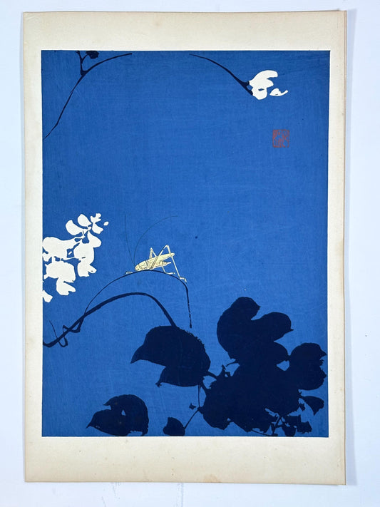 Japanese original woodblock print, 1934, Kyobashi Masuichi, "Tansai-Gafu".