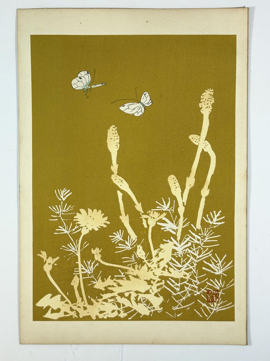 Japanese original woodblock print, 1934, Kyobashi Masuichi, "Tansai-Gafu".
