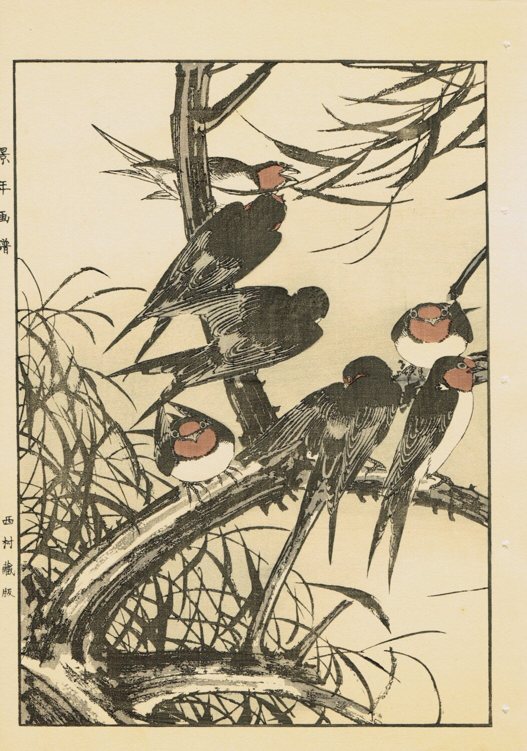 Japanese Antique Original Woodcut Print, Imao Keinen, "Willow, Swallow"