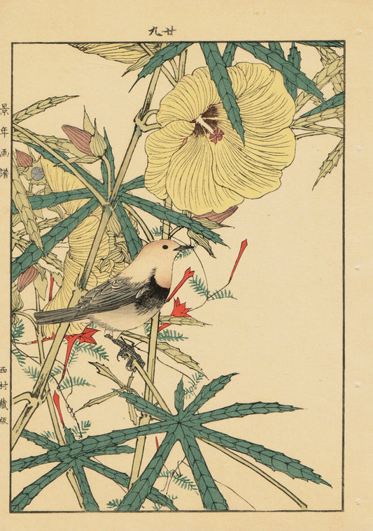 Japanese Antique Original Woodcut Print, Imao Keinen, "Aibika, Cypress Vine, Japanese robin"