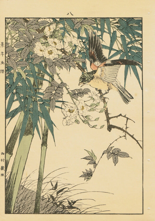 Japanese Antique Original Woodcut Print, Imao Keinen, "Rosa multiflora, Bamboo, Brambling"