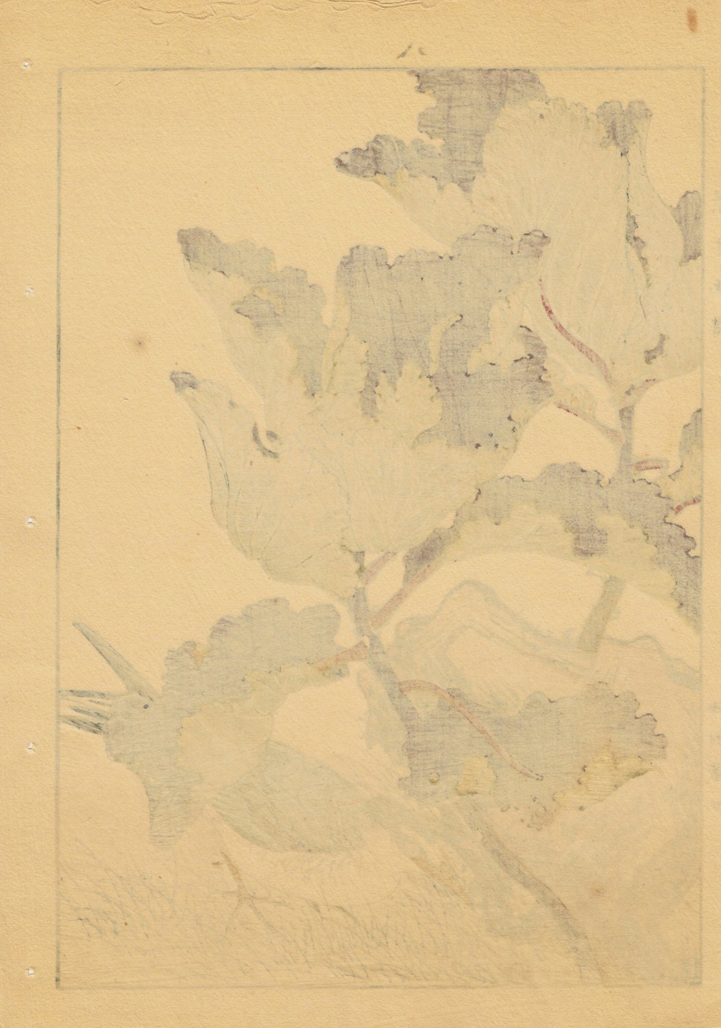 Japanese Antique Original Woodcut Print, Imao Keinen, "Peony, Kawarabashiri"