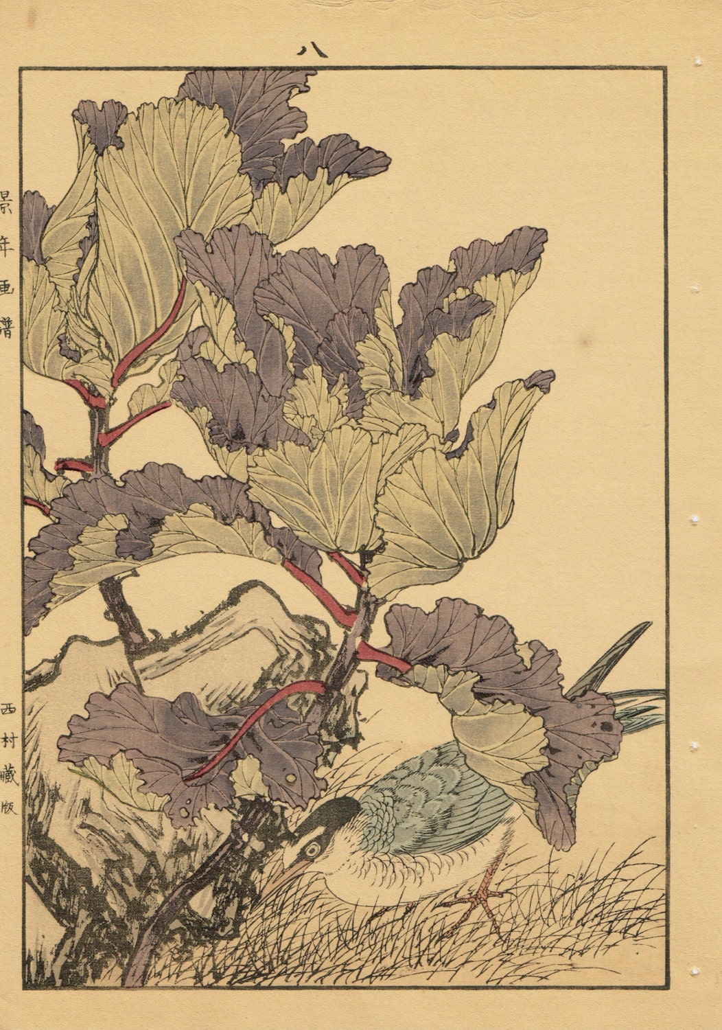 Japanese Antique Original Woodcut Print, Imao Keinen, "Peony, Kawarabashiri"