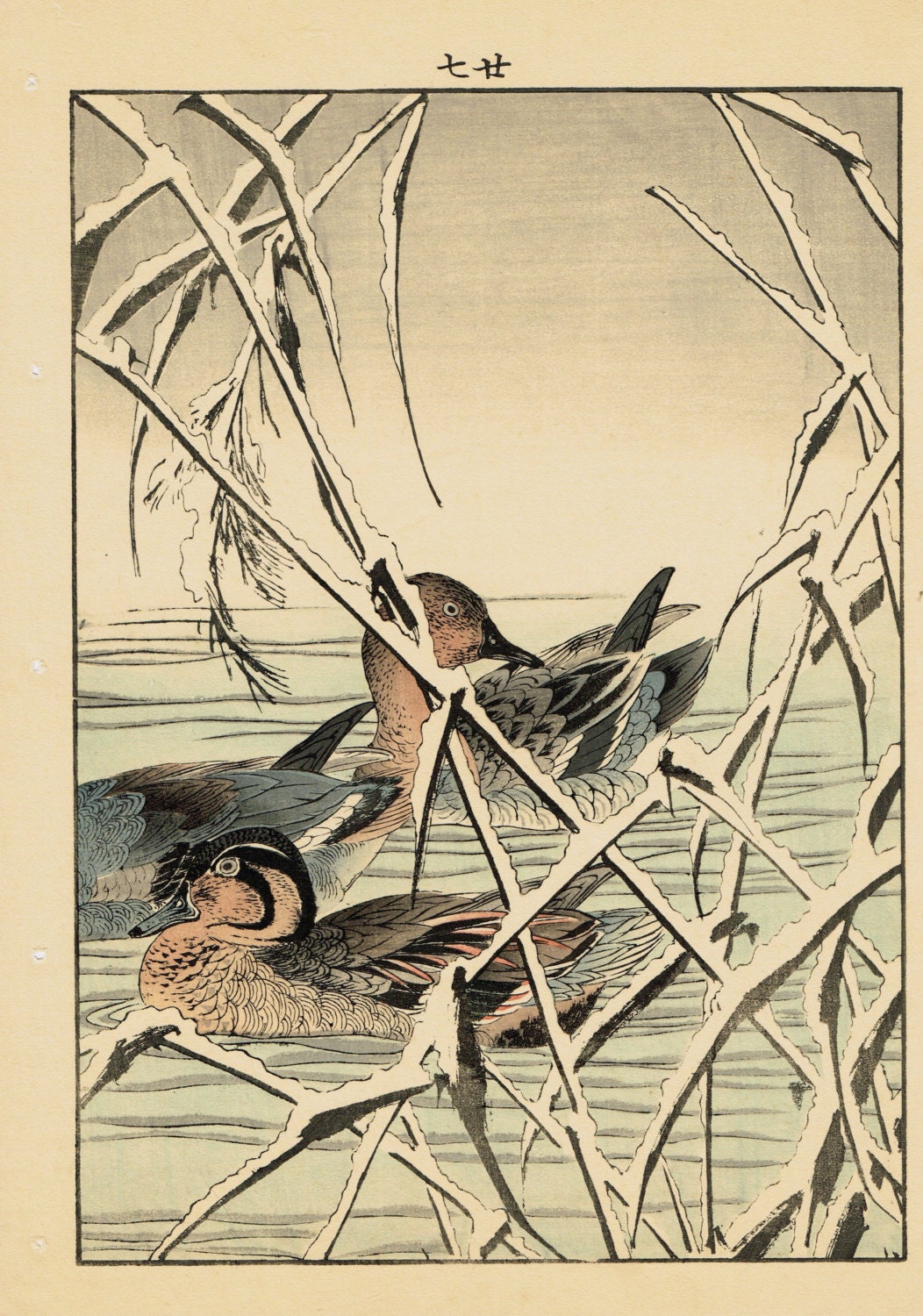 Japanese Antique Original Woodcut Print, Imao Keinen, "Reed, Duck"