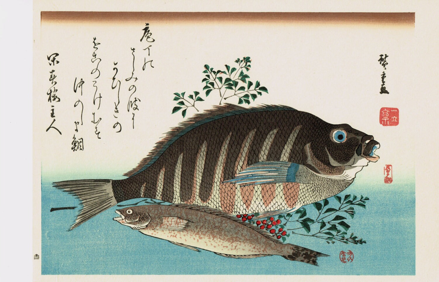 Japanese Ukiyoe, Woodblock print, antique, Hiroshige, "Striped Sea Bream, Rock Trout & Nandina".