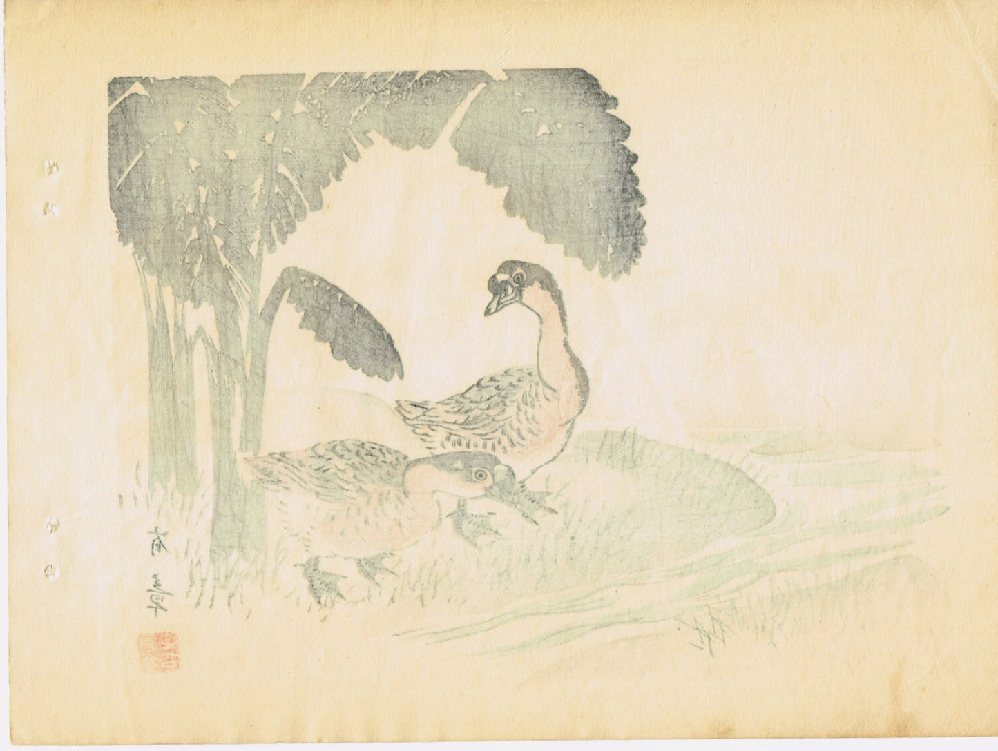 1913, Japanese Woodblock print, antique, Nakajima Yusyo, "Duck"