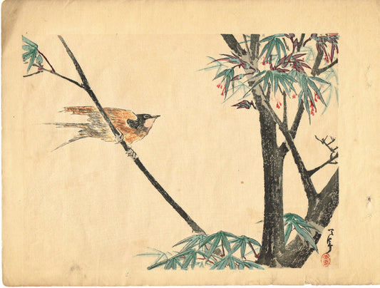 1913, Japanese Woodblock print, antique, Kaigai Tennen, "Swallow"