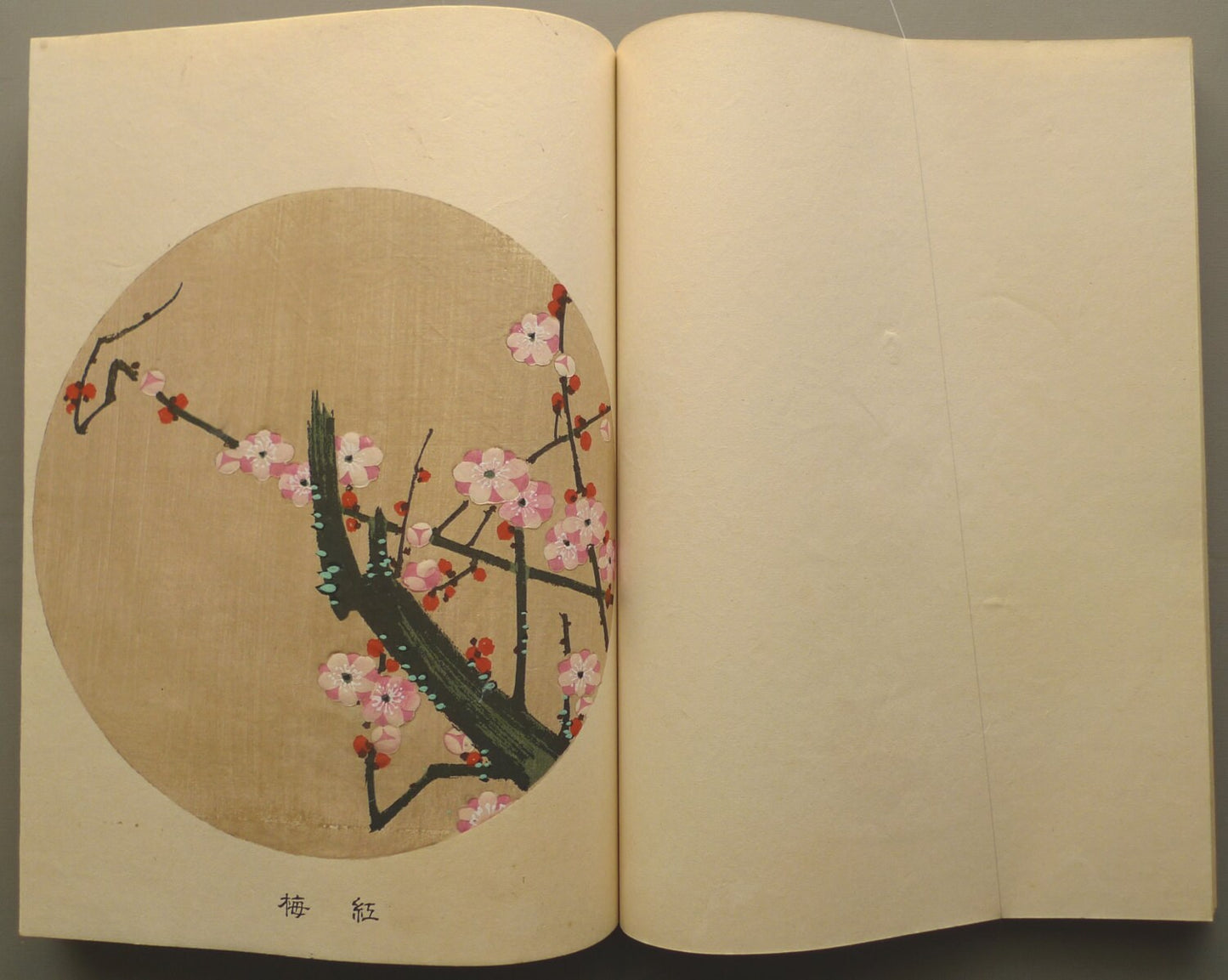 1908, Japanese antique woodblock print book, Ito Jakuchu, "Jakuchu gafu", complete set.