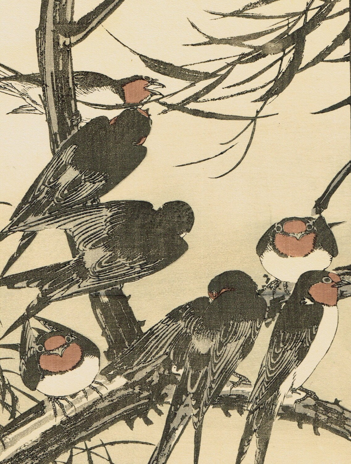 Japanese Antique Original Woodcut Print, Imao Keinen, "Willow, Swallow"