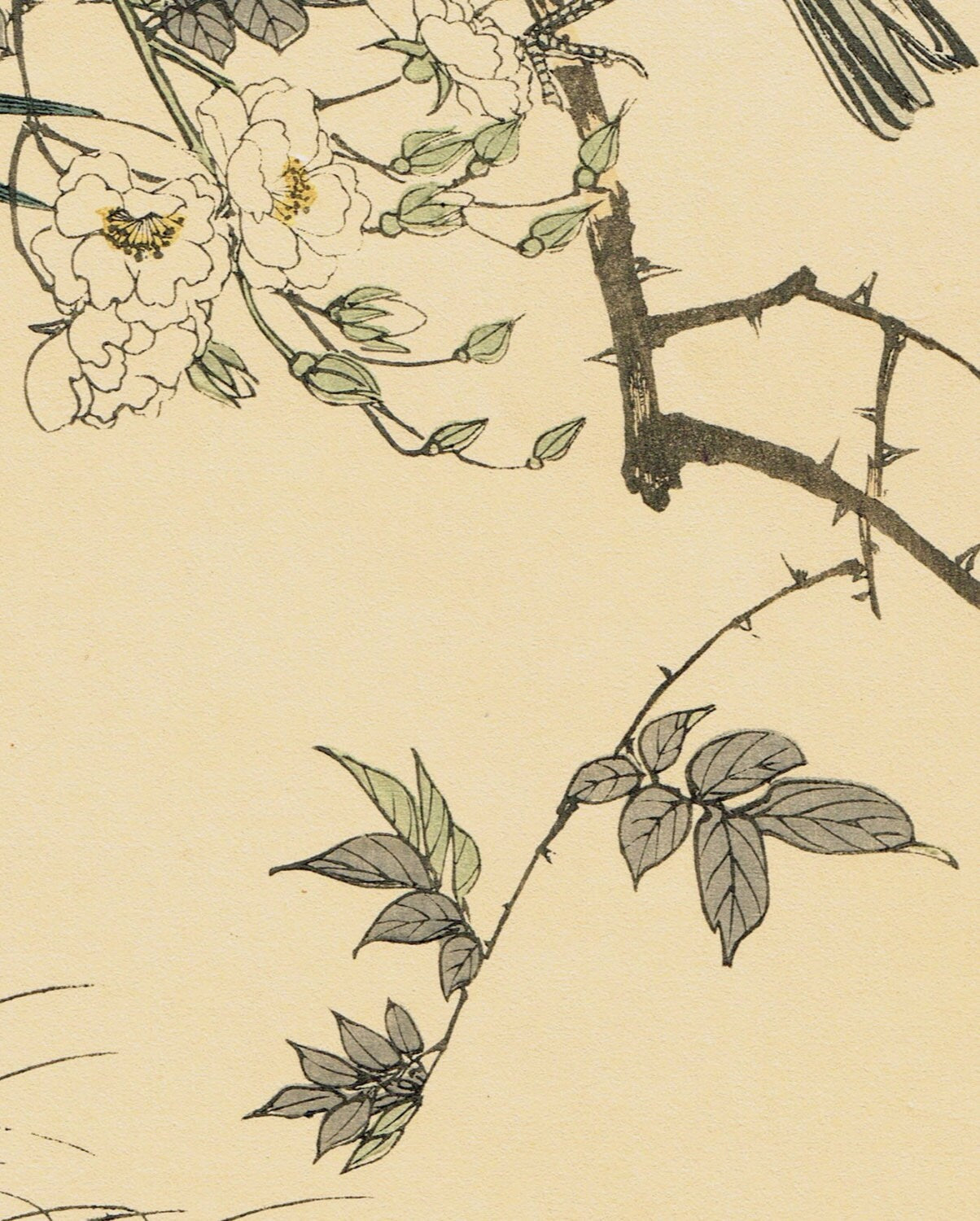 Japanese Antique Original Woodcut Print, Imao Keinen, "Rosa multiflora, Bamboo, Brambling"