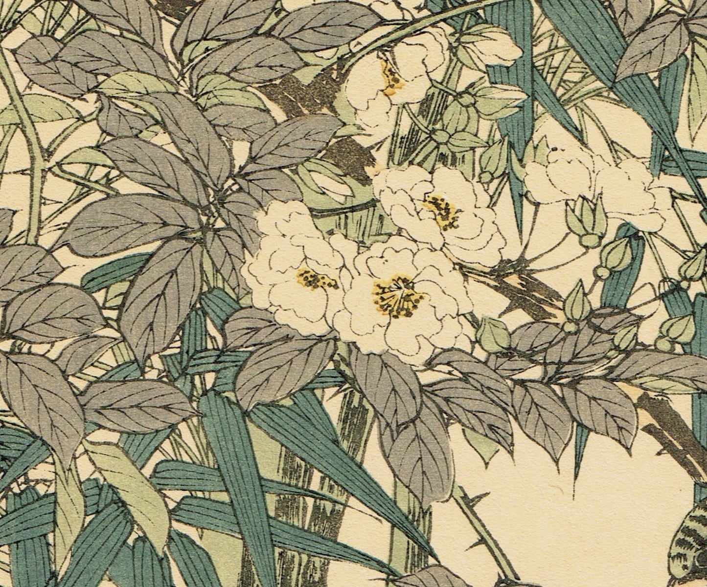 Japanese Antique Original Woodcut Print, Imao Keinen, "Rosa multiflora, Bamboo, Brambling"