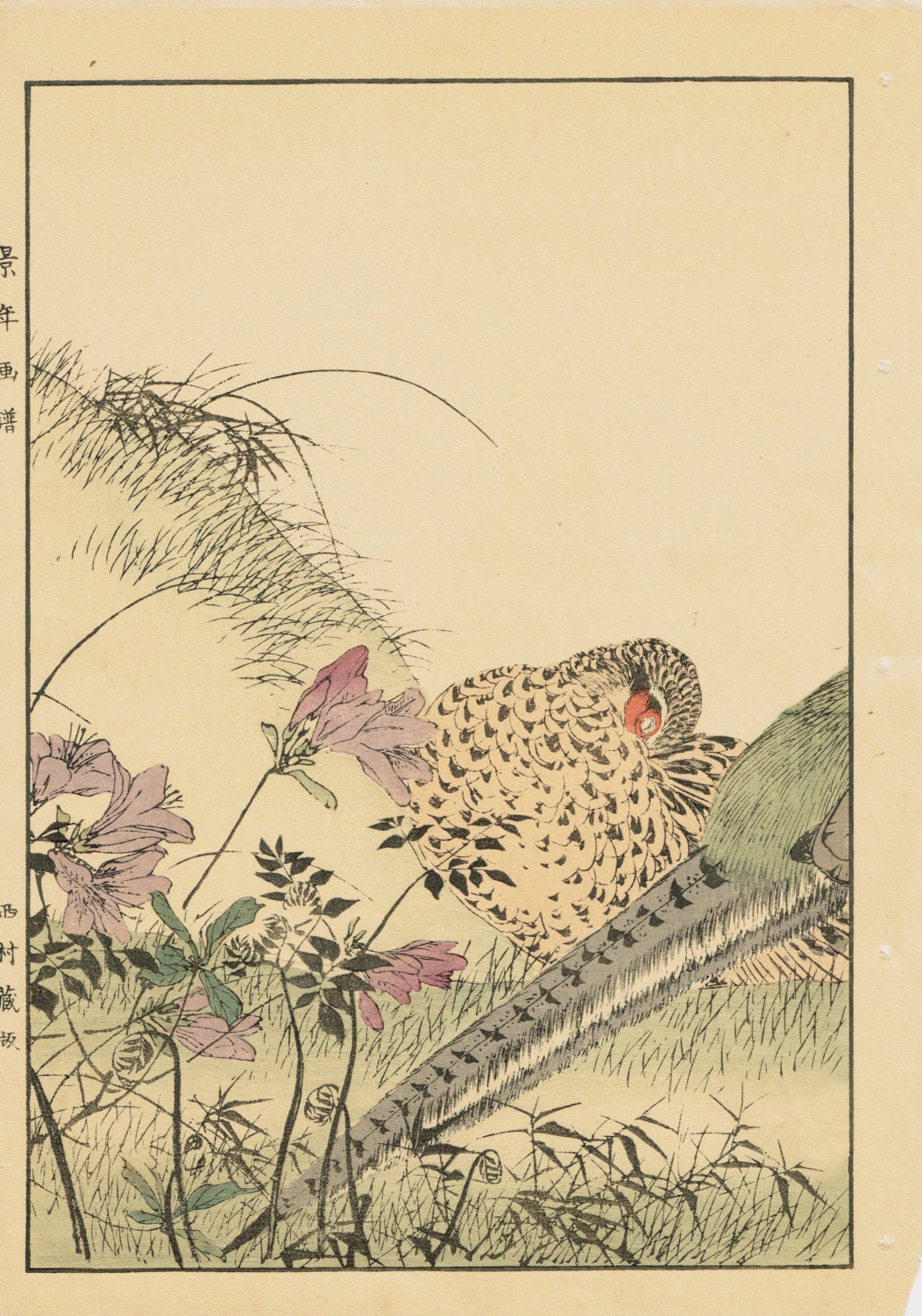 Japanese Antique Original Woodcut Print, Imao Keinen, "Azalea, Osmund, Japanese Pheasant"