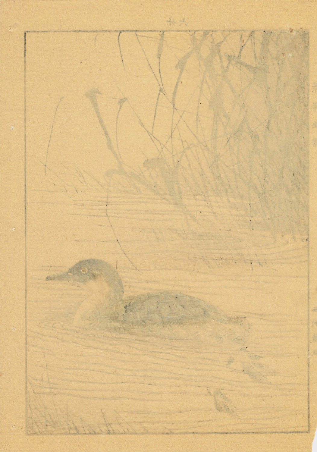 Japanese Antique Original Woodcut Print, Imao Keinen, "Manchurian Wild Rice, Little grebe"