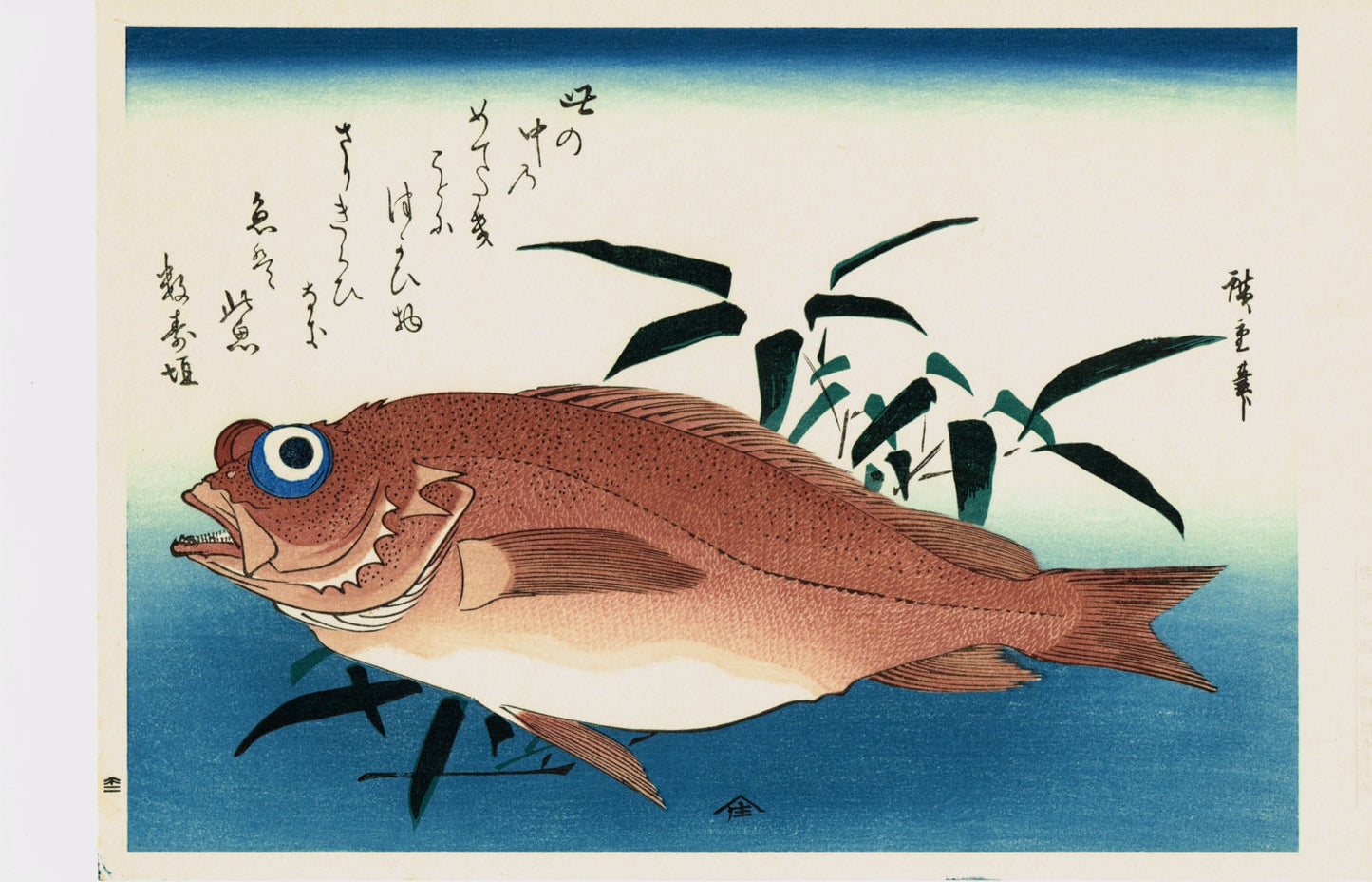 Japanese Ukiyoe, Woodblock print, antique, Hiroshige, "Goggle-eyed Sea Bream and Bamboo Grass"