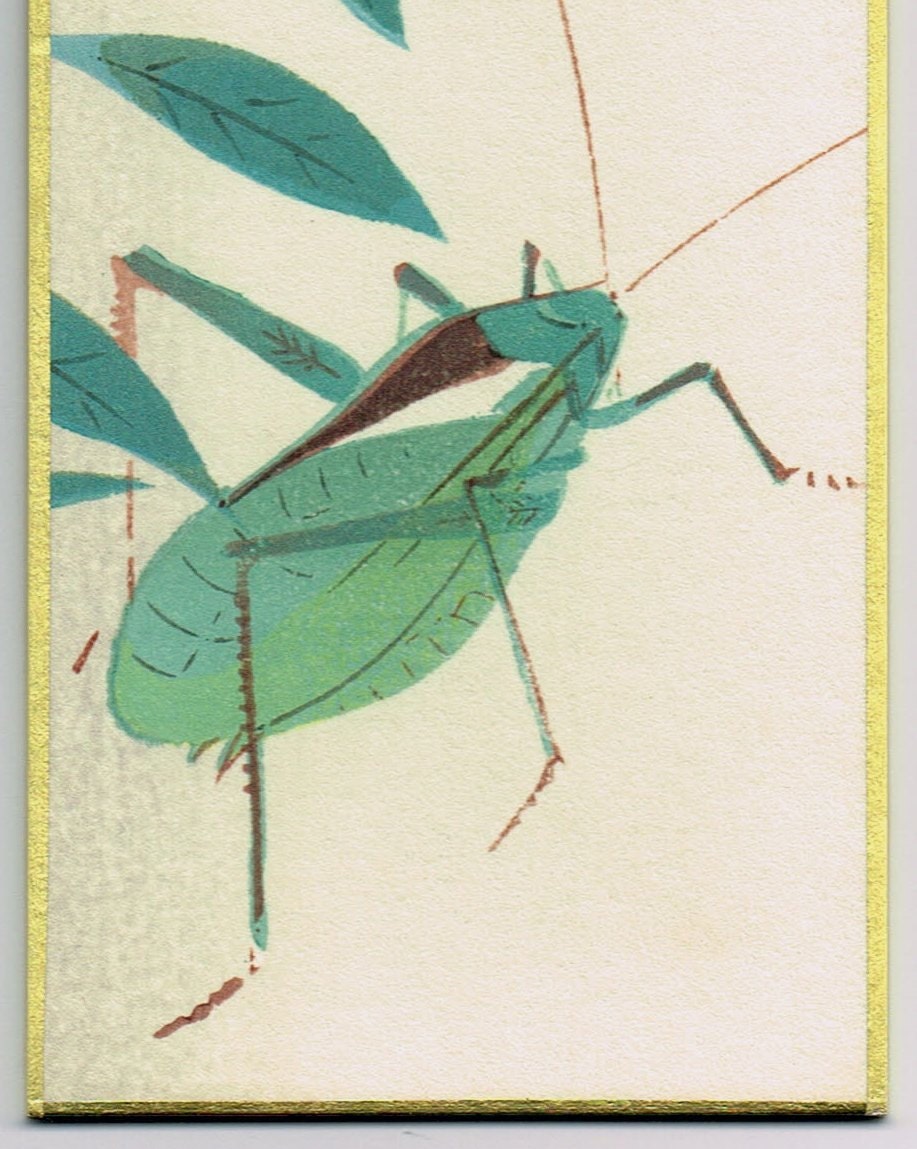 Japanese woodblock print, Fukuda Suiko," Chinese bellflower and Giant katydid"