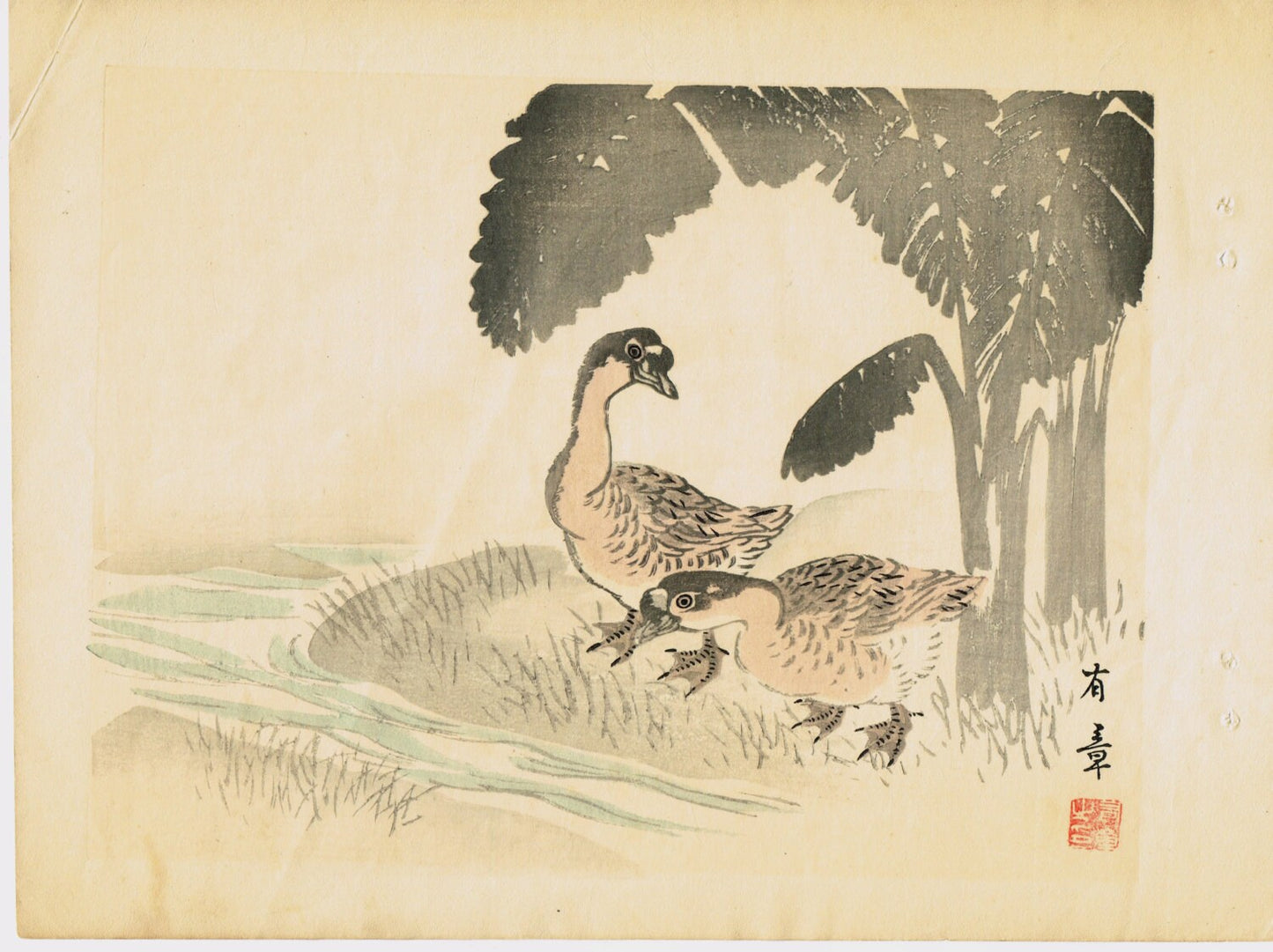 1913, Japanese Woodblock print, antique, Nakajima Yusyo, "Duck"