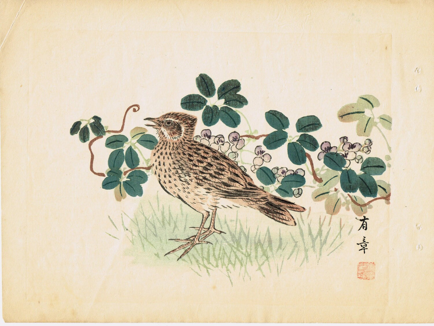 1913, Japanese Woodblock print, antique, Nakajima Yusyo, "Lark"